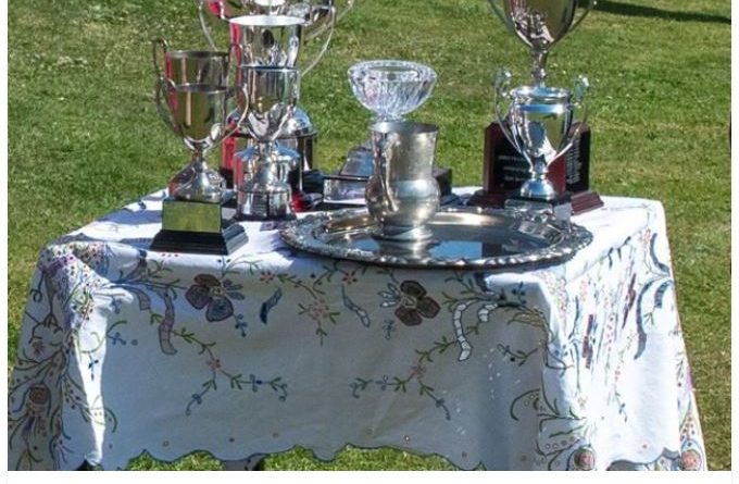 Collection of cups and trophies on a lace tablecloth with green grass in the background