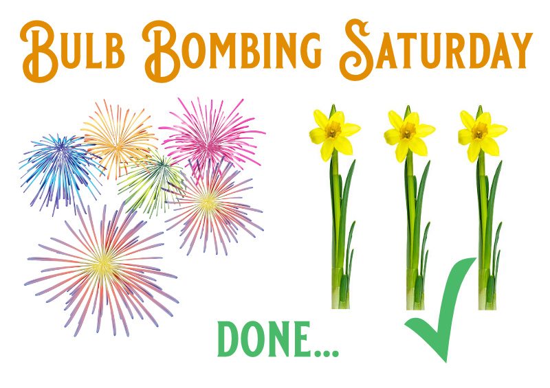 A Brilliant “Bulb Bombing” Saturday