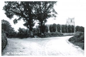 Old postcard of Great Wilbraham. The photo is taken from The Lanes and shows the Lime trees which are pollarded.
