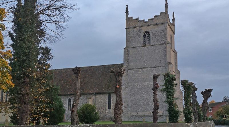Picture showing the pollarded trees in the St Nicholas' Church churchyard