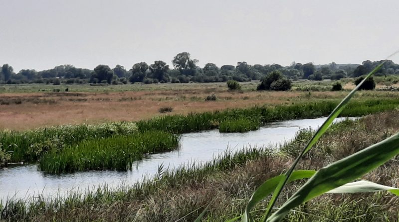 Image of waterway