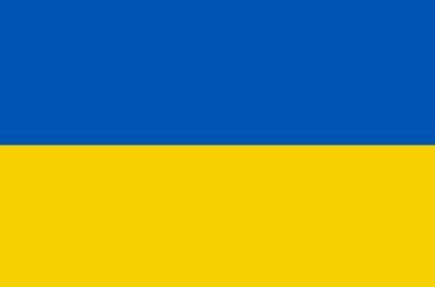 Homes for Ukraine – paid roles to support programme – help required