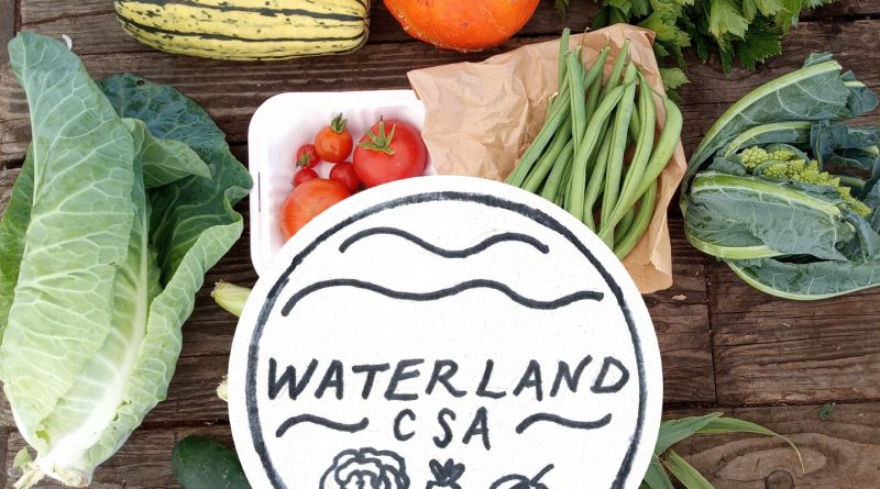 Image of fruit and vegetables for www.waterlandcsa.co.uk