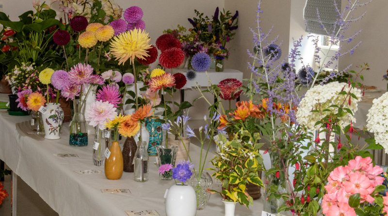 Mixed Flower displays on a table at the village show 2022
