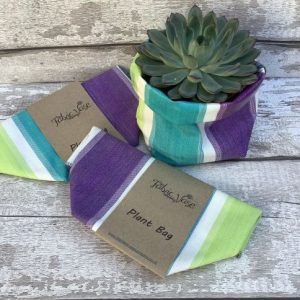 Image of cactus in a bag next to folded bags