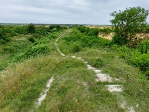 View along Fleam Dyke with tree on the right hand side